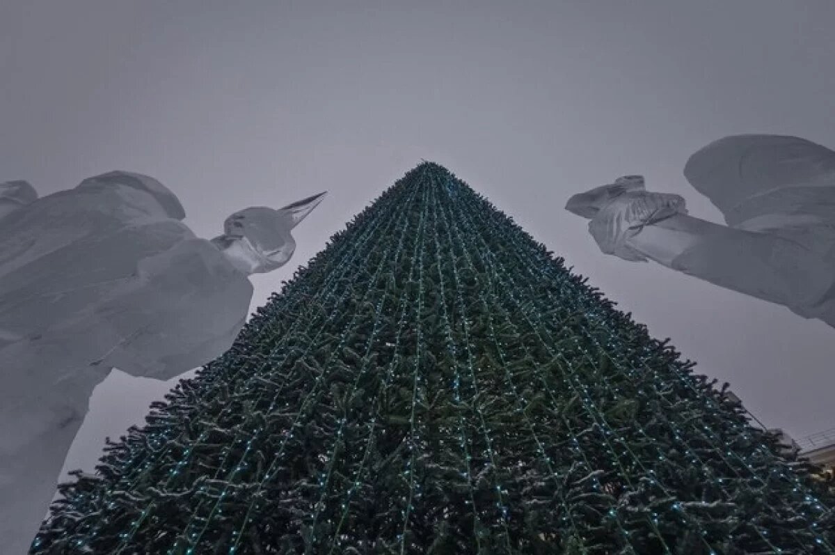    Новогодняя ёлка в Томске простоит до 10 февраля