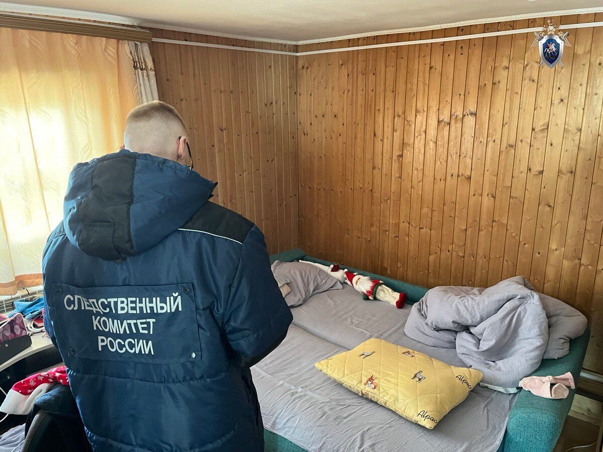     / Источник: © СУ СК России по Амурской области