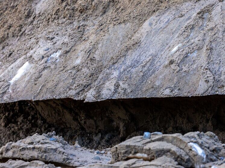     Фото: Федор Воронов/«Ямал-Медиа»