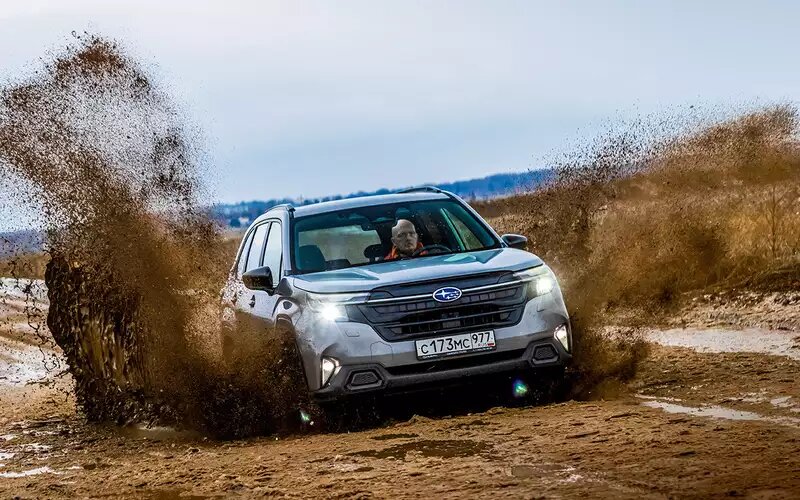 Subaru Forester. Цена в России от 7 400 000 ₽. Forester оснащен светодиодными фарами с омывателем. Поворотному свету любой «китаец» позавидует: поворотные пучки ближнего света плюс отдельные лампы подсветки виражей. Отдельно – вполне мощные противотуманки.Subaru Forester 2026
📷
