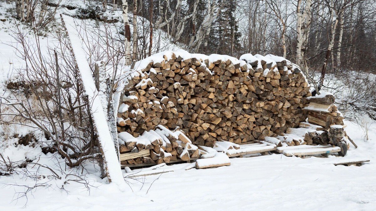    Фото: Федор Воронов/«Ямал-Медиа»
