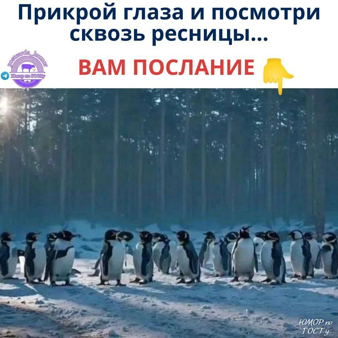 Из сети