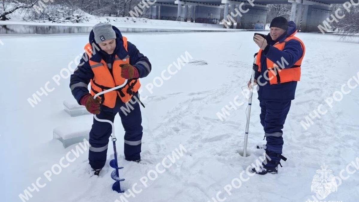    Фото: Telegram / МЧС Брянской области