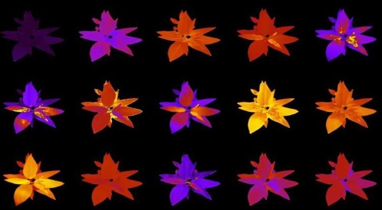    Фото: ORNL, U.S. Dept. of Energy