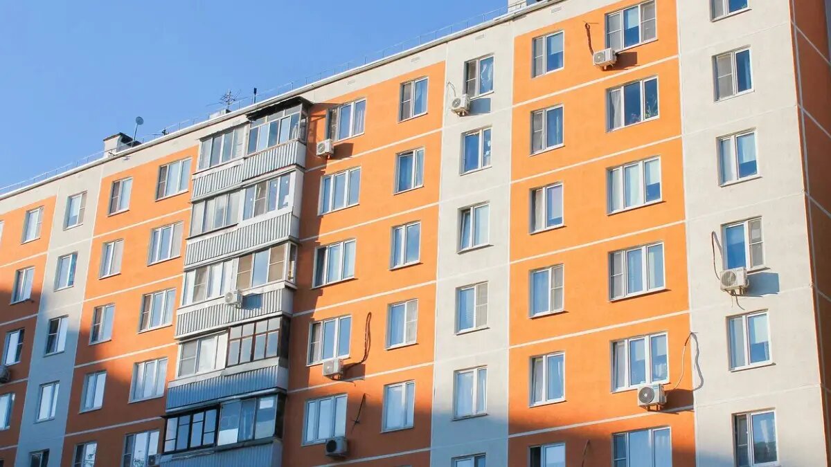    Фото: vm.ru Павел Евсеев