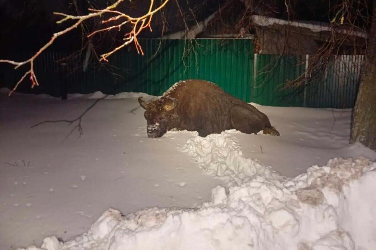  © «Асіповіцкі край»