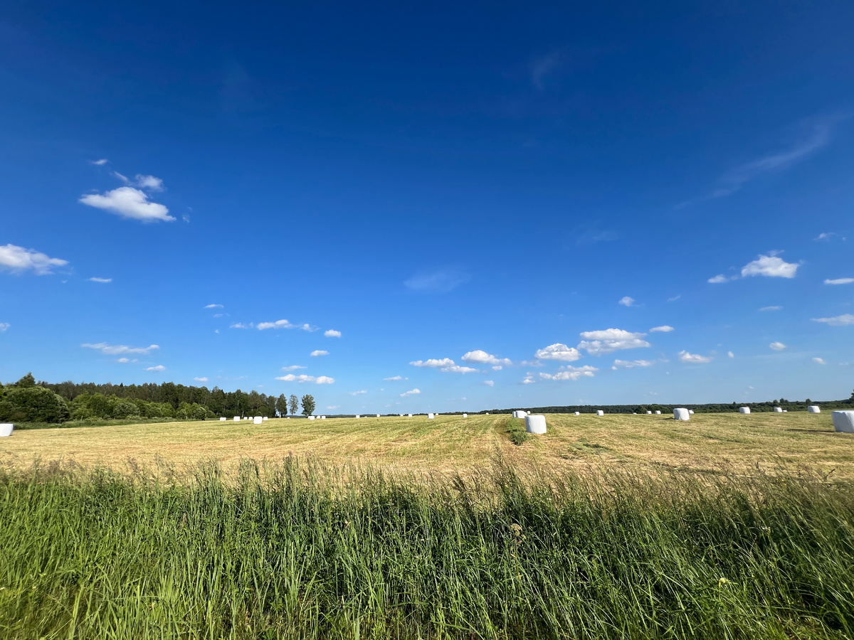 Фото Лидии Бам. Современный сенокос и его итоги