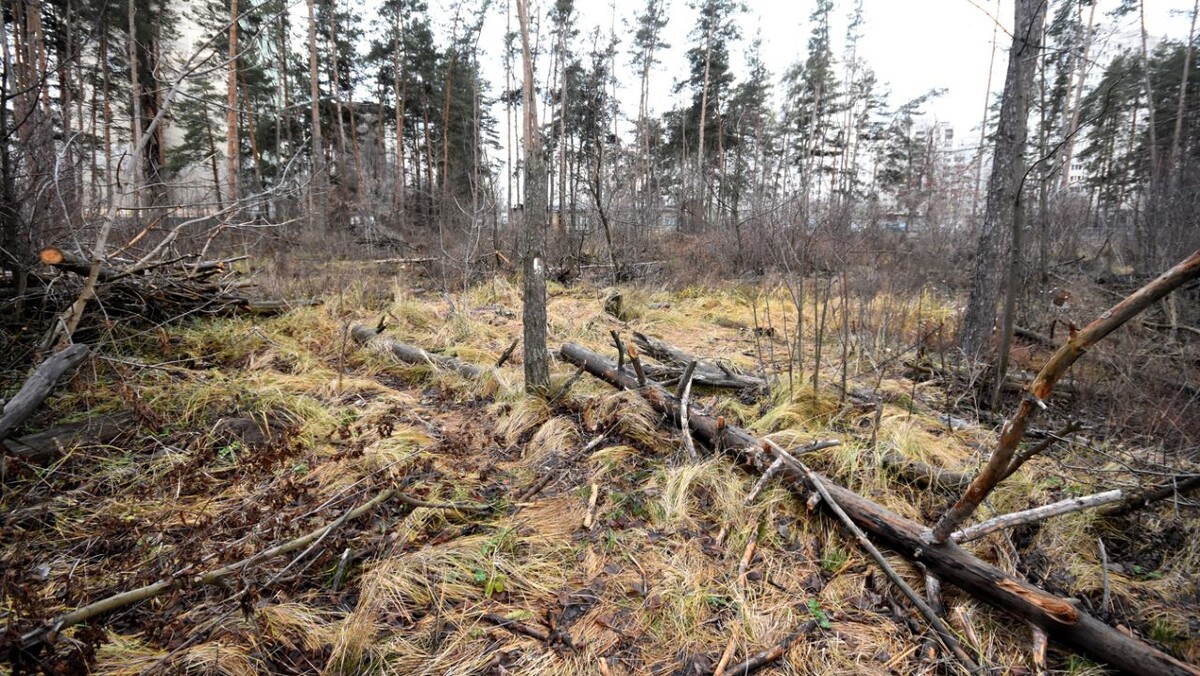    Фото: Игорь ФИЛОНОВ