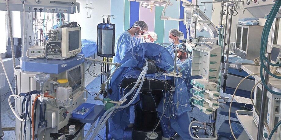    Фото: пресс-служба департамента здравоохранения города Москвы