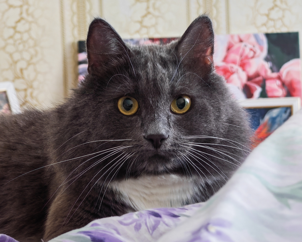 Фото автора канала.