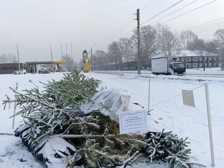     Фото: Телеграм-канал Минприроды Хакасии