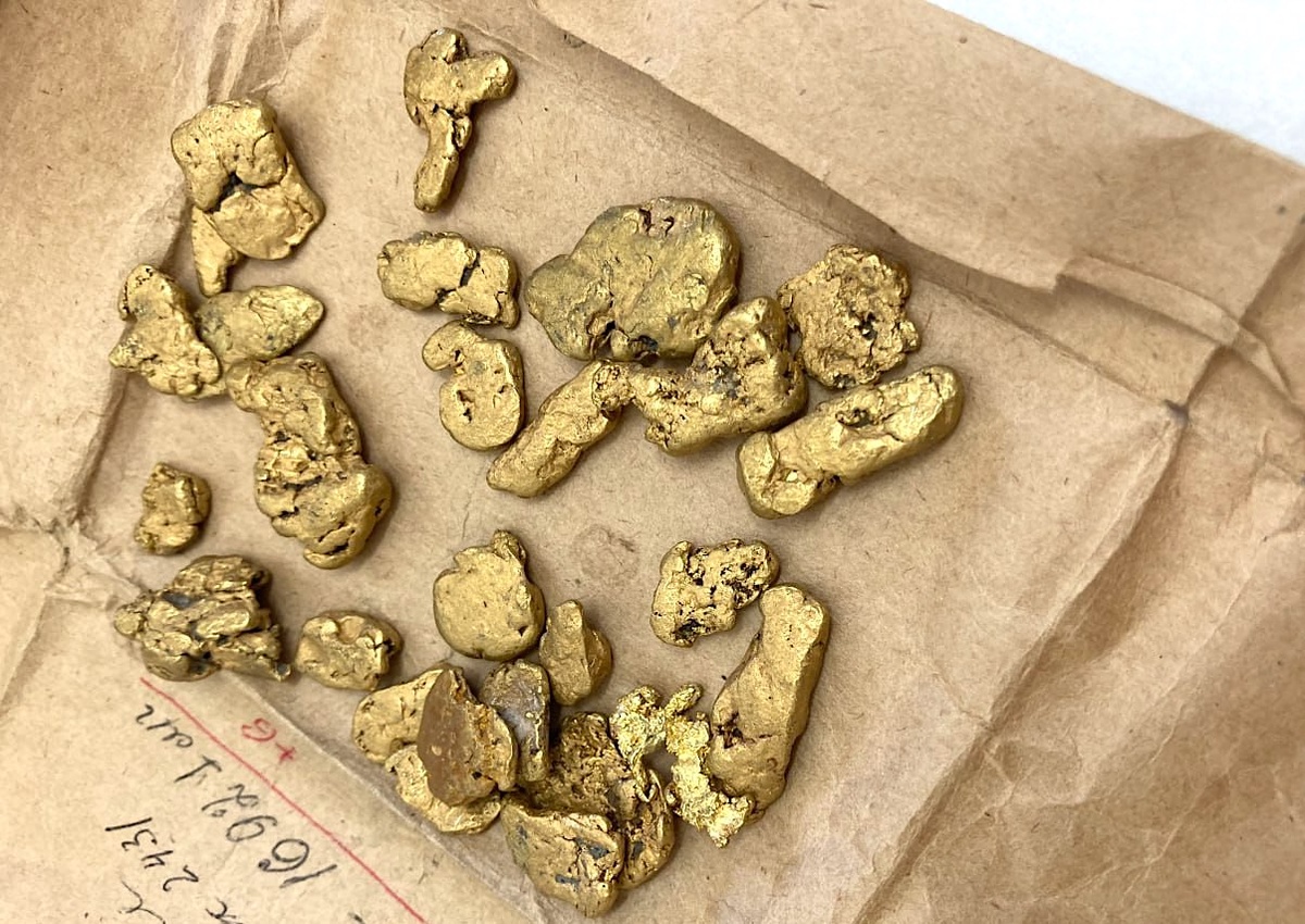 Самородки золота с россыпного месторождения. Фото: АО «Якутскгеология». Источник: t.me/rusgeology