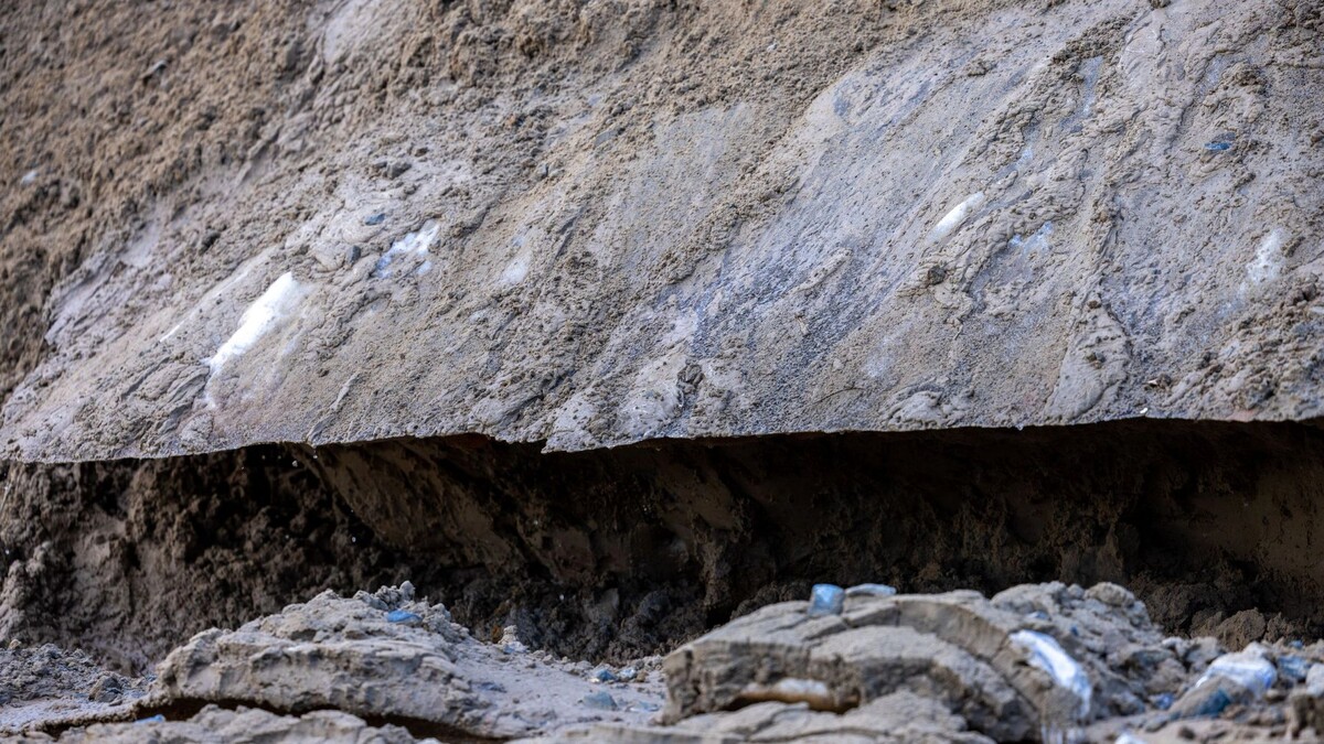    Фото: Федор Воронов/«Ямал-Медиа»