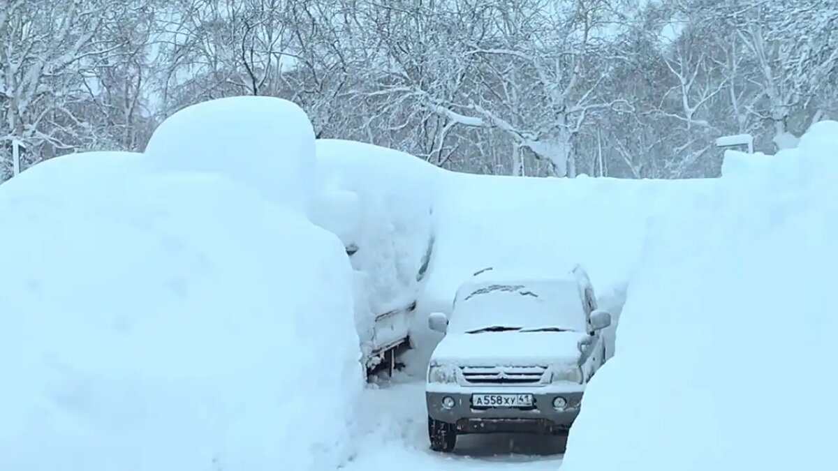    Камчатка © YouTube/frau_graur