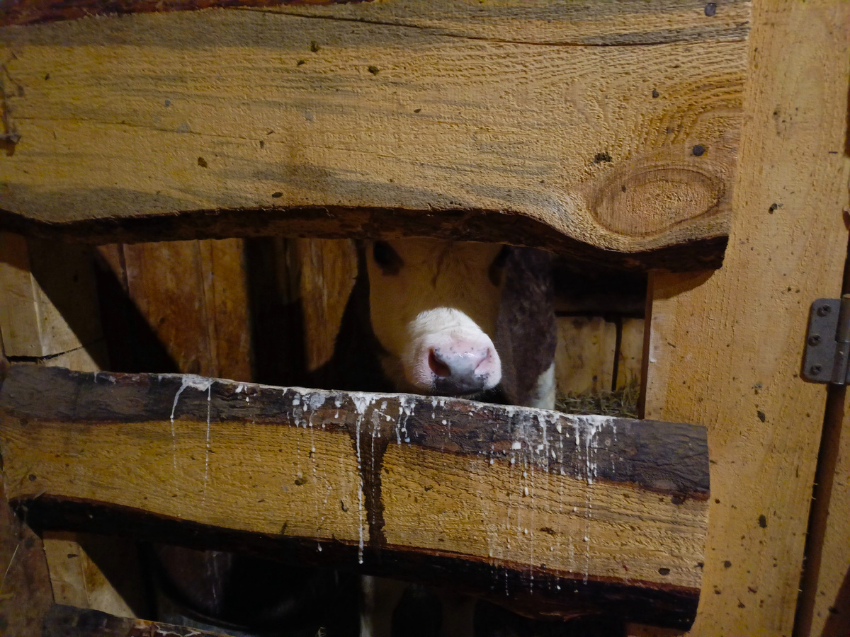 Самый мелкий.