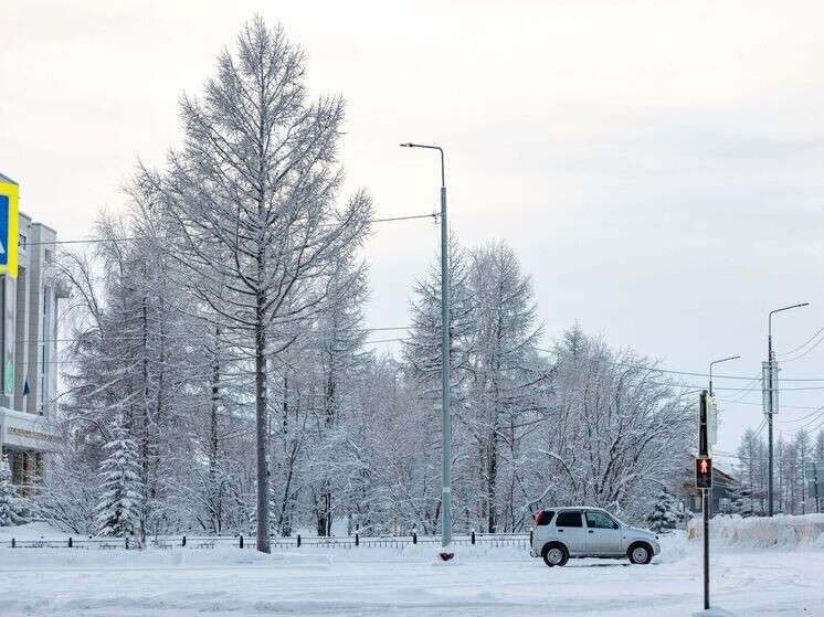     Фото: Сергей Зубков/«Ямал-Медиа»