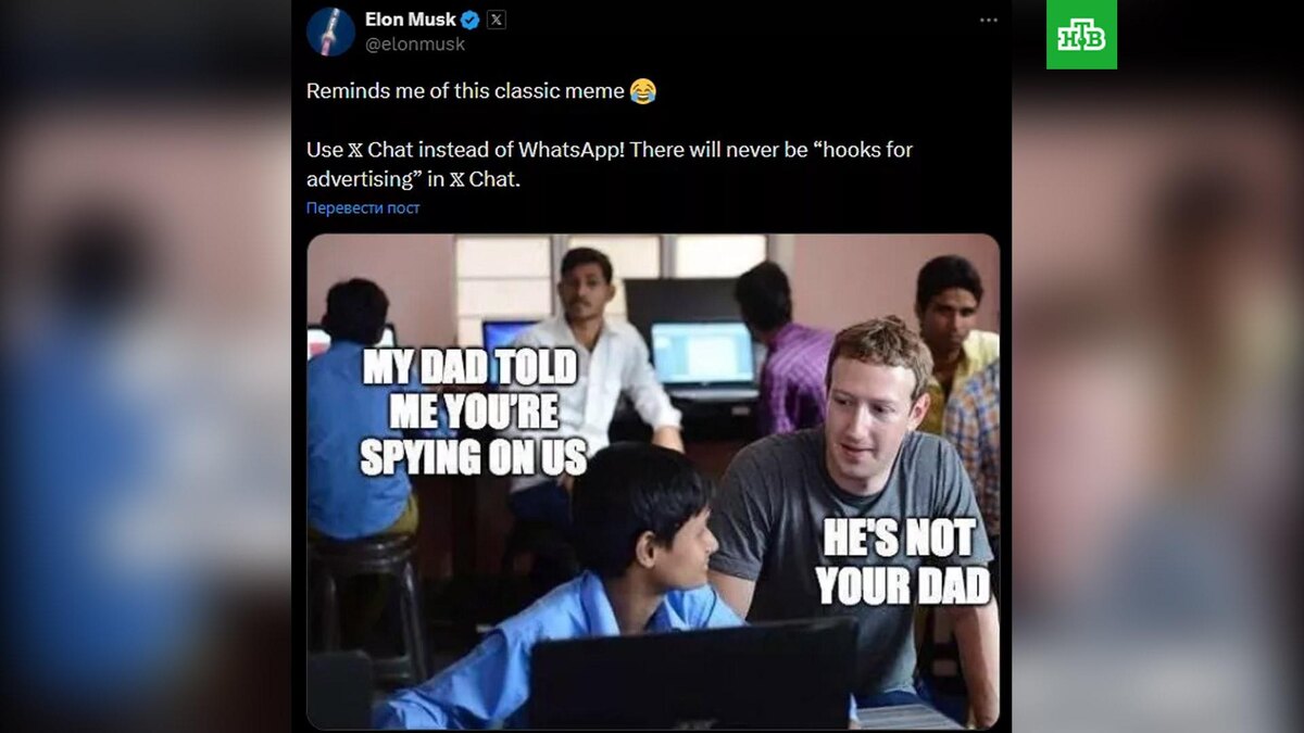    Фото: @elonmusk / X