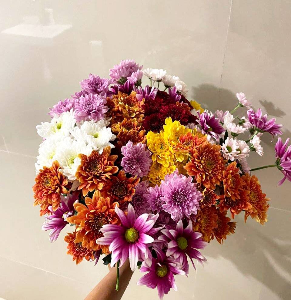 Goa delivery Flowers 🌷 