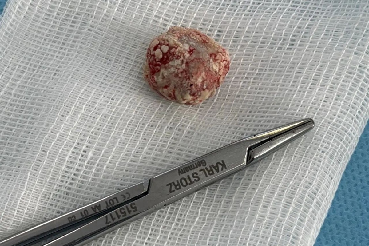    Фото: Минздрав Приморья, источник t.me minzdravpk