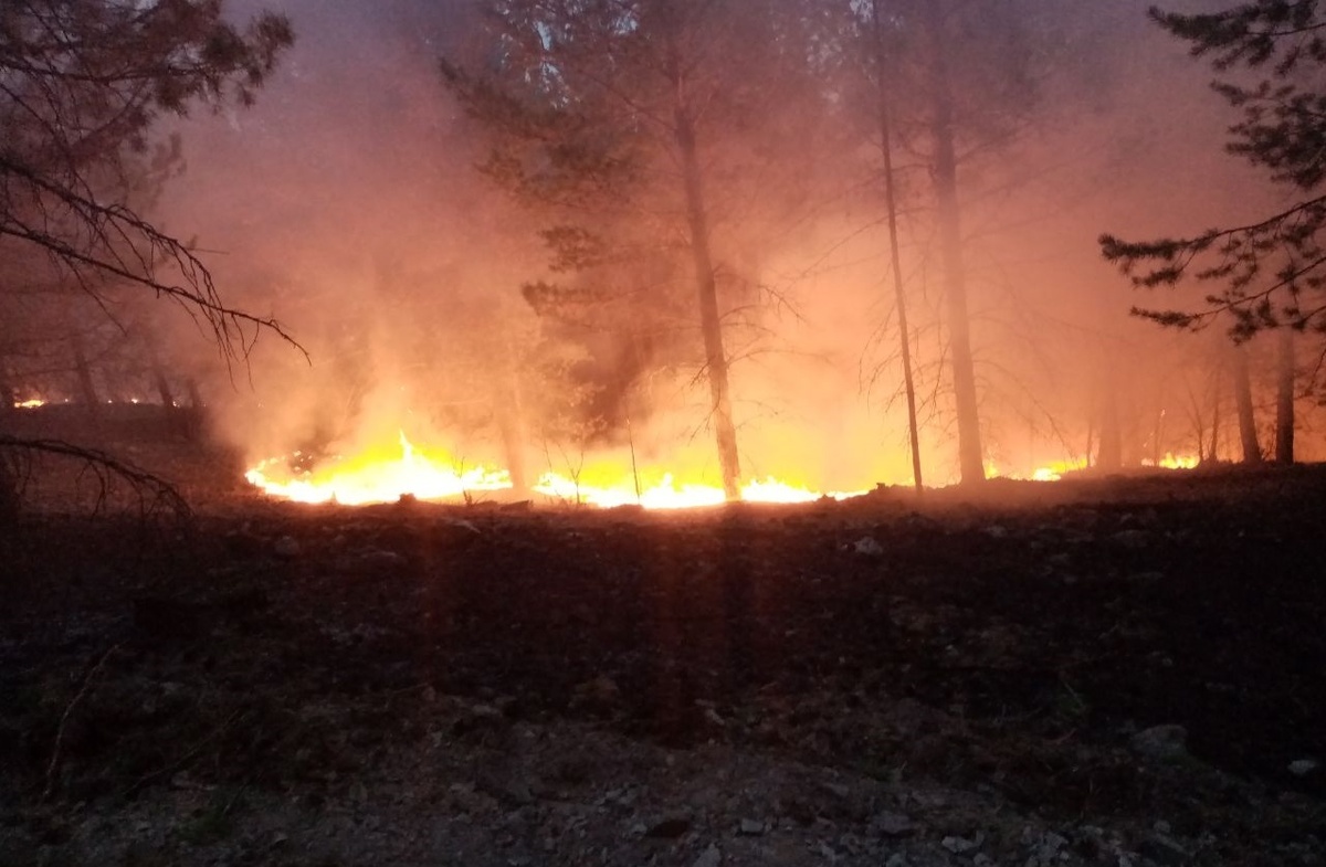    © Министерство природных ресурсов, лесного хозяйства и экологии Пермского края
