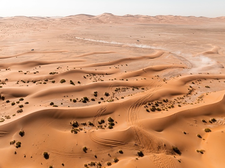     Фото: Министерство физической культуры и спорта ВО, https://vk.com/wall-50965985_9351