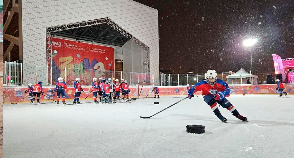    МедиаБанк Подмосковья/Вероника Горбачева