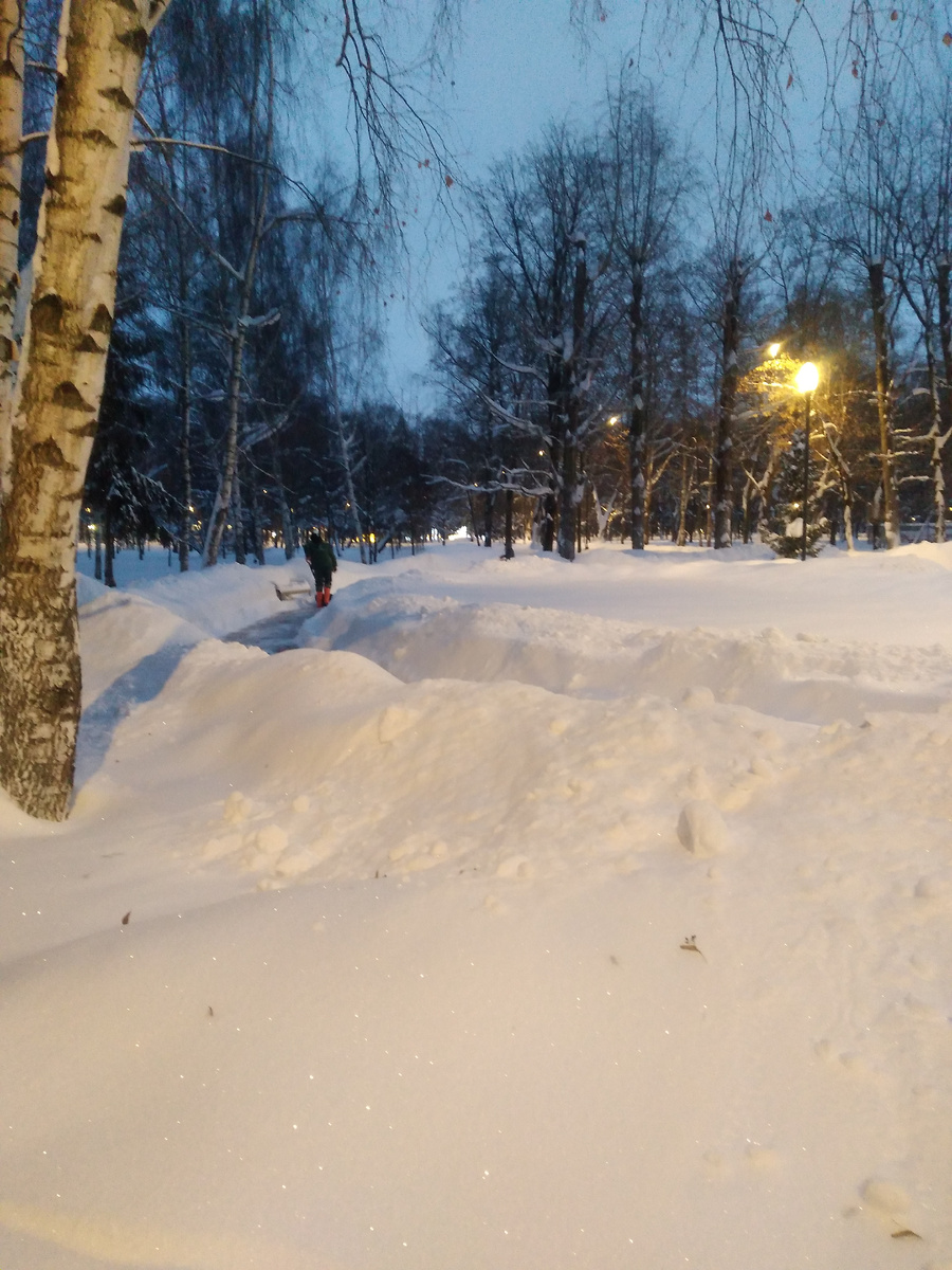 Сугробы в парке...