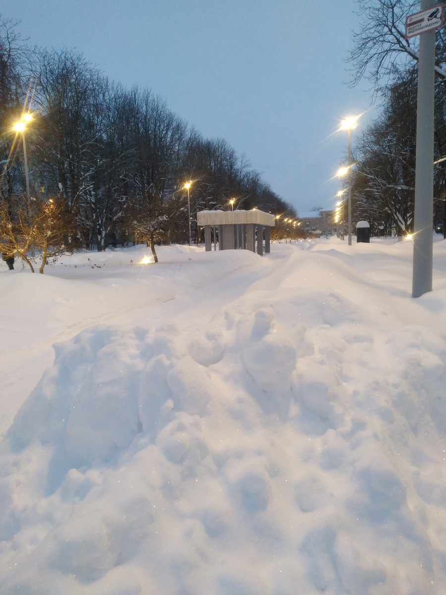 и на Каштановой аллее.