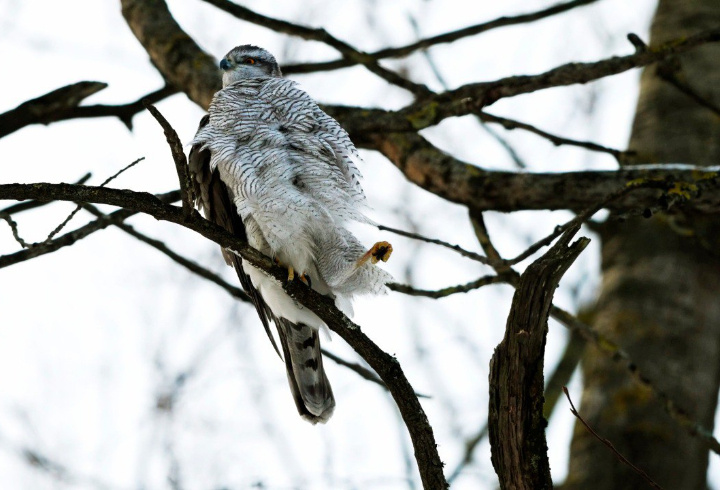 фото: Станислав Крутоверцев/ kazdoytvaripopare