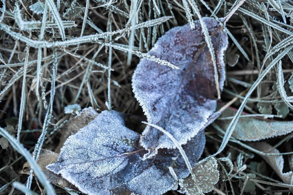    Фото: freepik.com Редактор