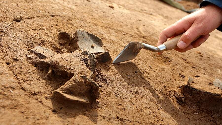    Фото: Global Look Press/Matthias Bein