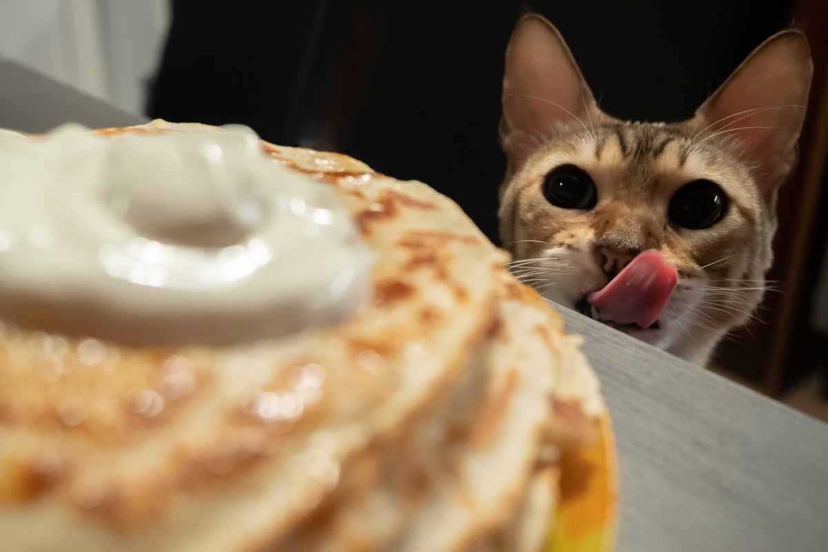 Олег Золото/ «Вечерний Санкт-Петербург»