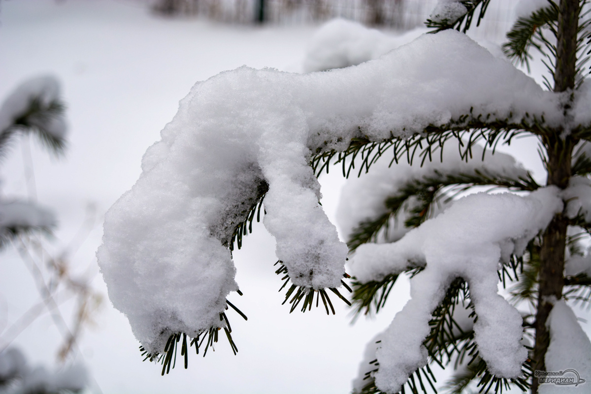    Фото: Галина Ниценкова © ИА «Уральский меридиан»