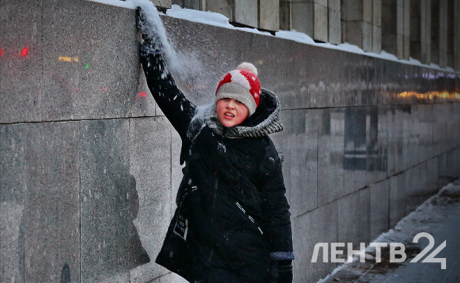    © Анастасия Илюшина / ЛенТВ24, архивное фото