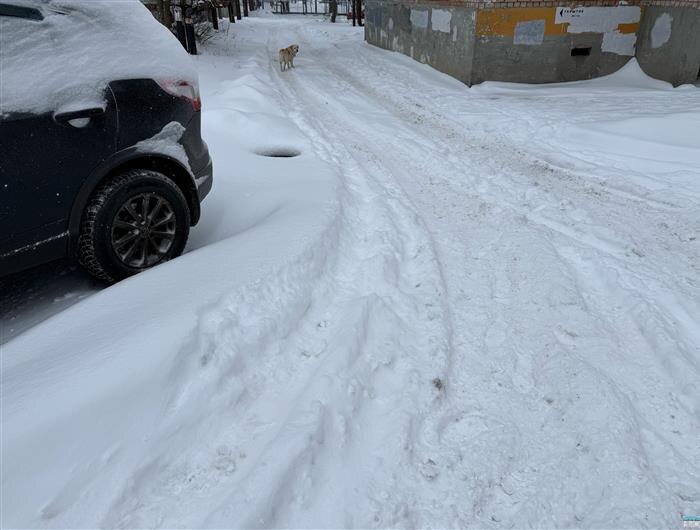    ФОТО: Белова Александра