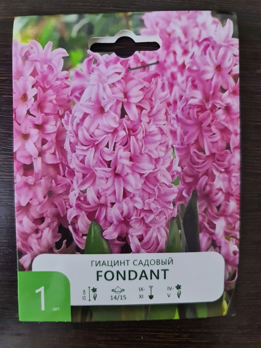 Фото луковицы не делала, но поверьте, она была не в лучшем виде