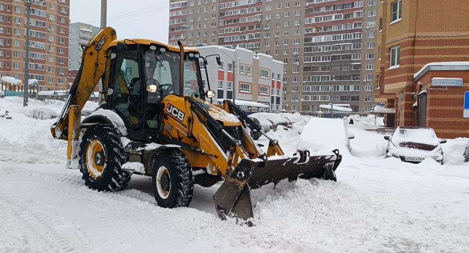    Екатерина Федосеева
