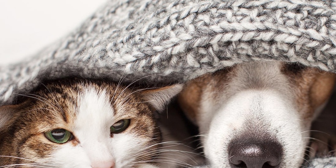 До календарной весны остался всего месяц 🥺 Успели устать от зимы