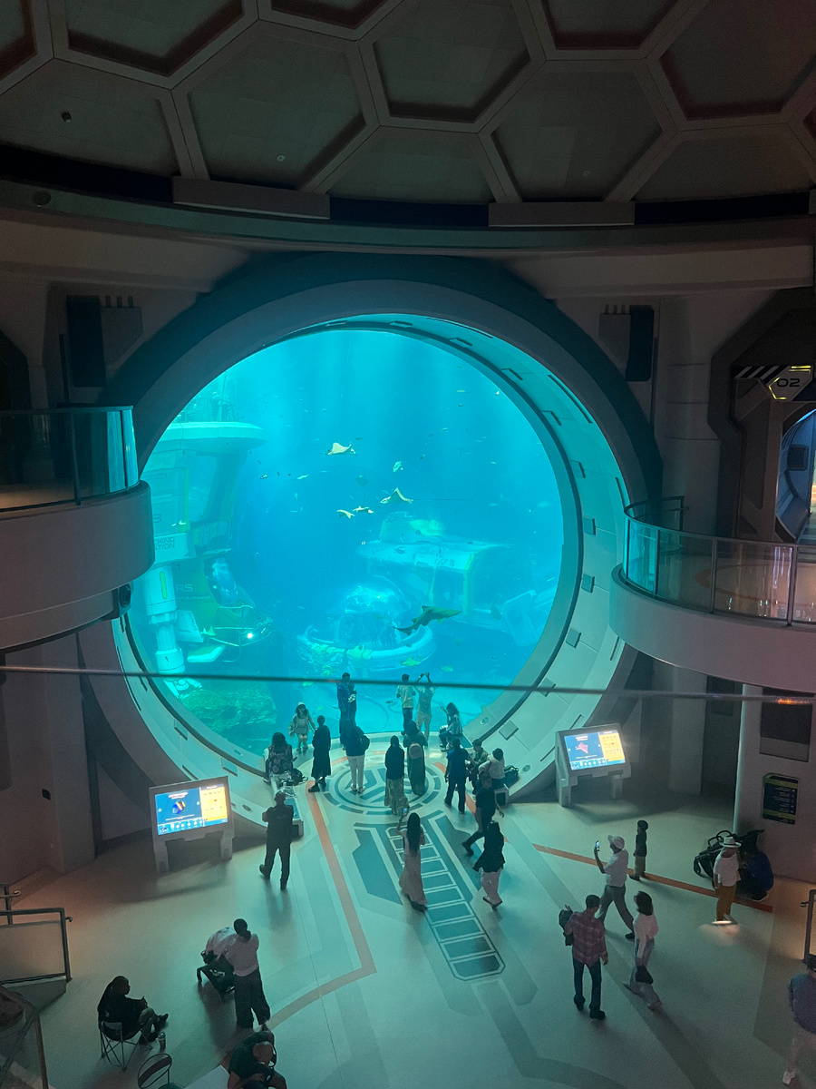 Все фото в статье авторские. Копирование запрещено.