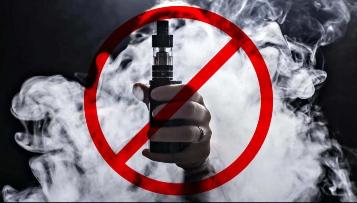    Фото: открытый источник