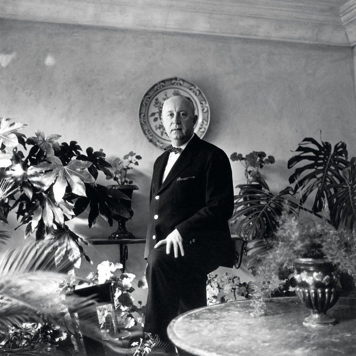 фото из открытого источника