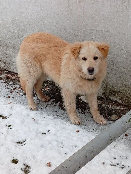 Это фото ещё до трагедии...