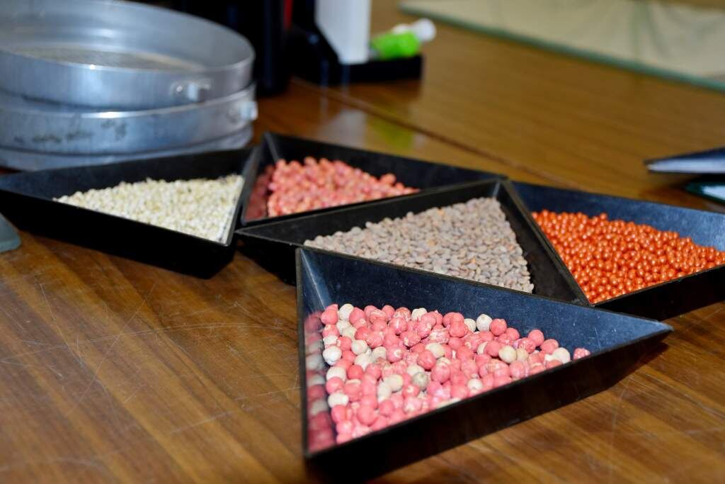    Фото Светланы Кишинько Газета Колос