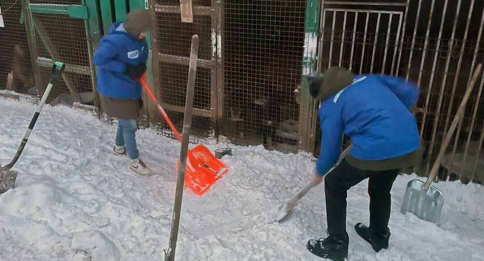    администрация г.о. Пушкинский