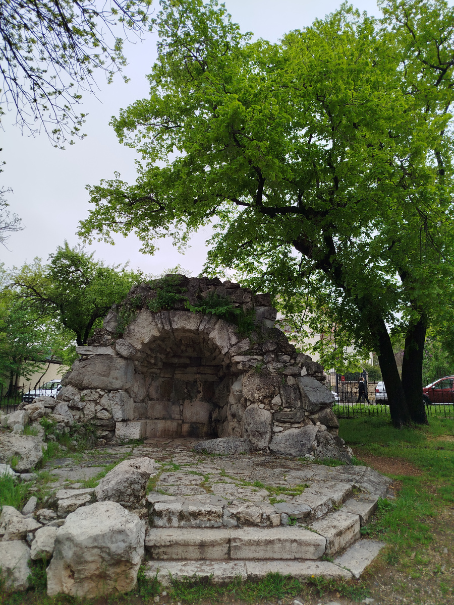 Фото автора.