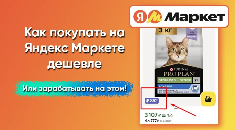 Фото: https://dzen.ru/finpodbor