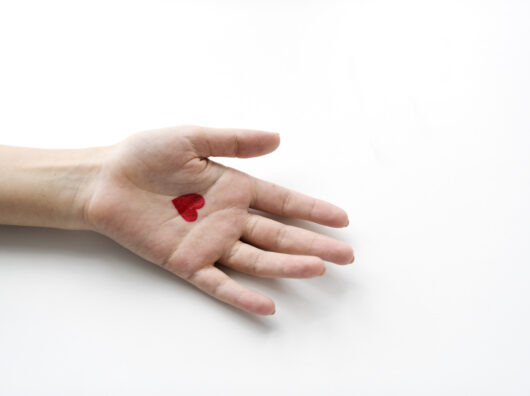    Донор // Фото с сайта https://www.freepik.com/