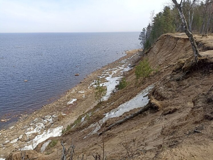     Фото: архив МК в Ленобласти.