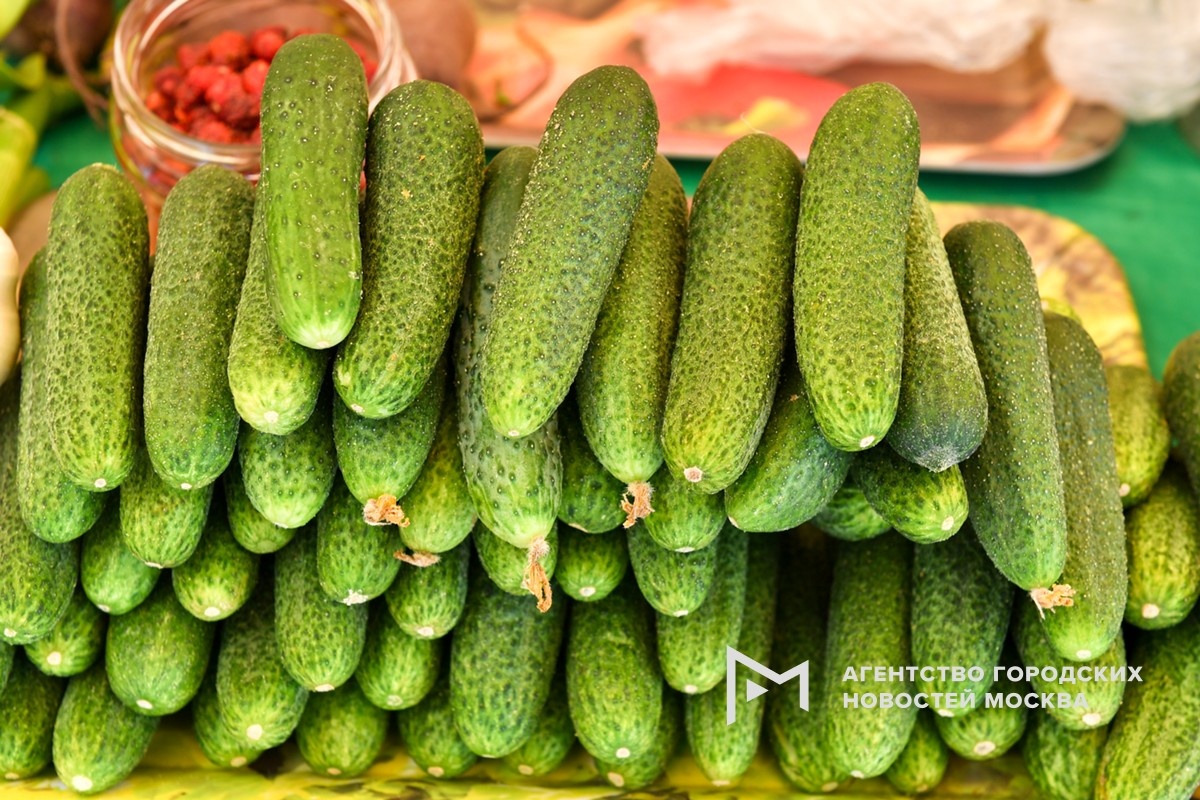 Фотограф: Сергей Киселев