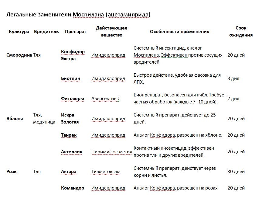 Таблица и фото Натальи Мироновой